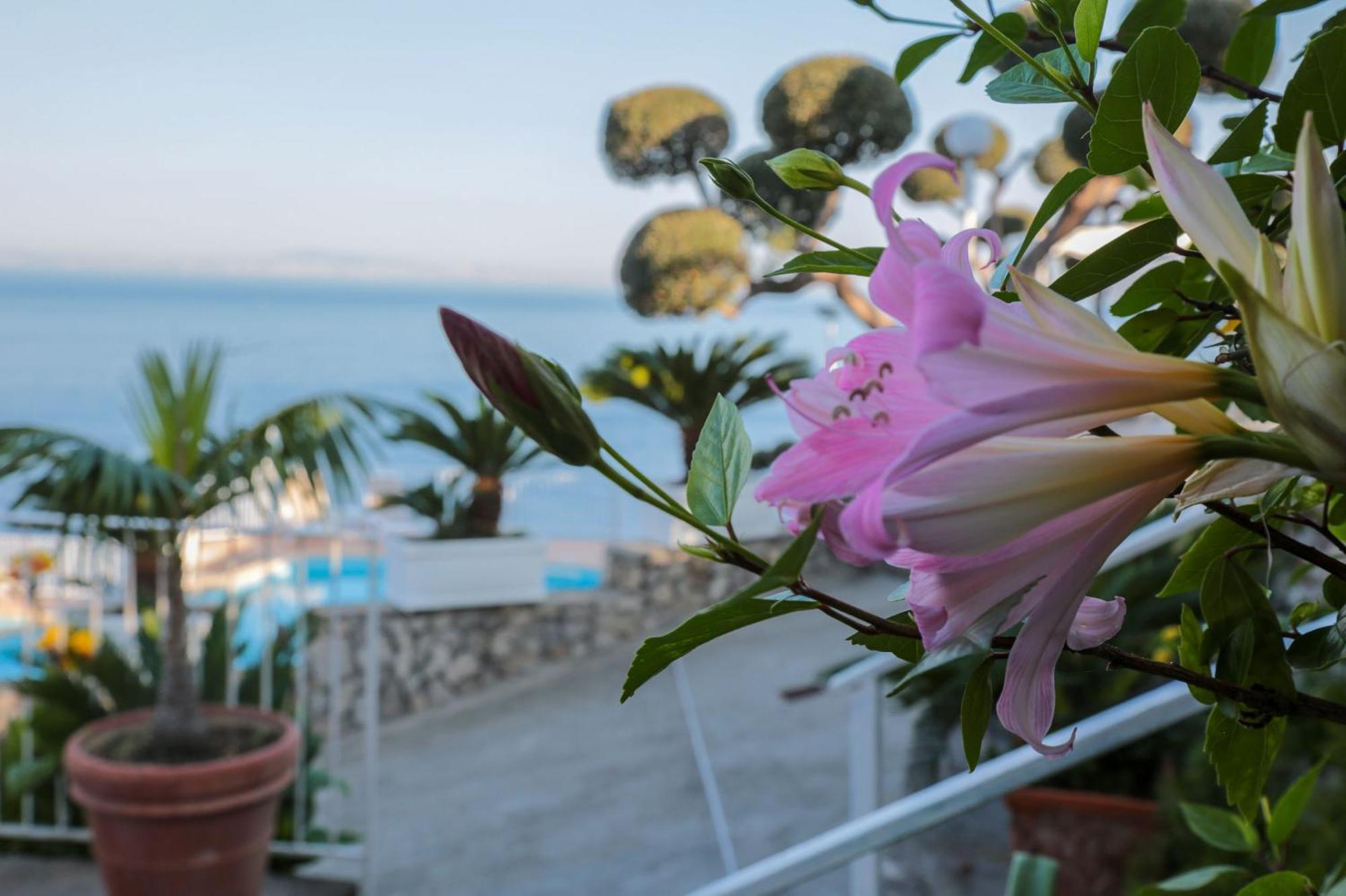 Hotel Villa Lubrense Sorrento Massa Lubrense Ngoại thất bức ảnh